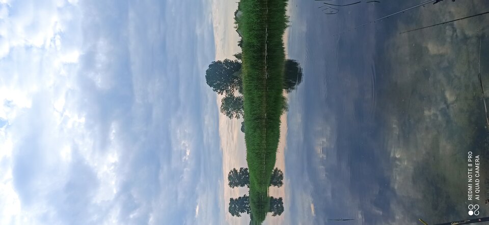 IMG_20220612_060745.jpg - 78nieznajomy