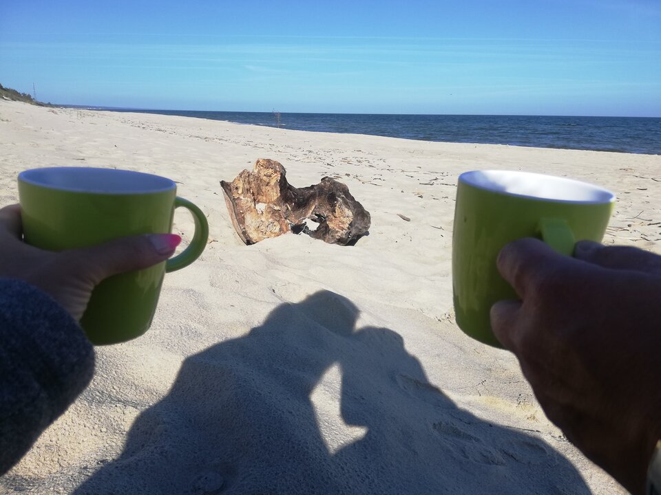 IMG_20220612_080100.jpg - crivakris4443