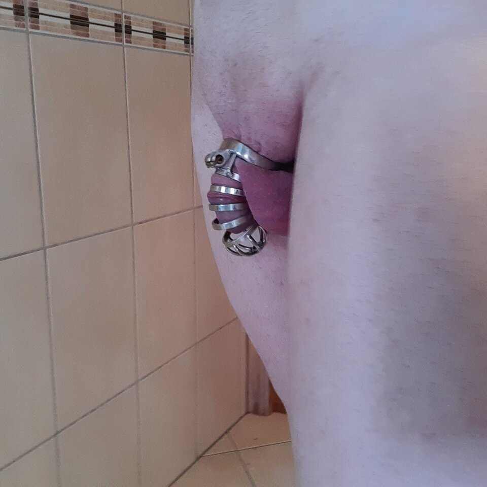 16550214153885610176345165862550.jpg - Palciusia