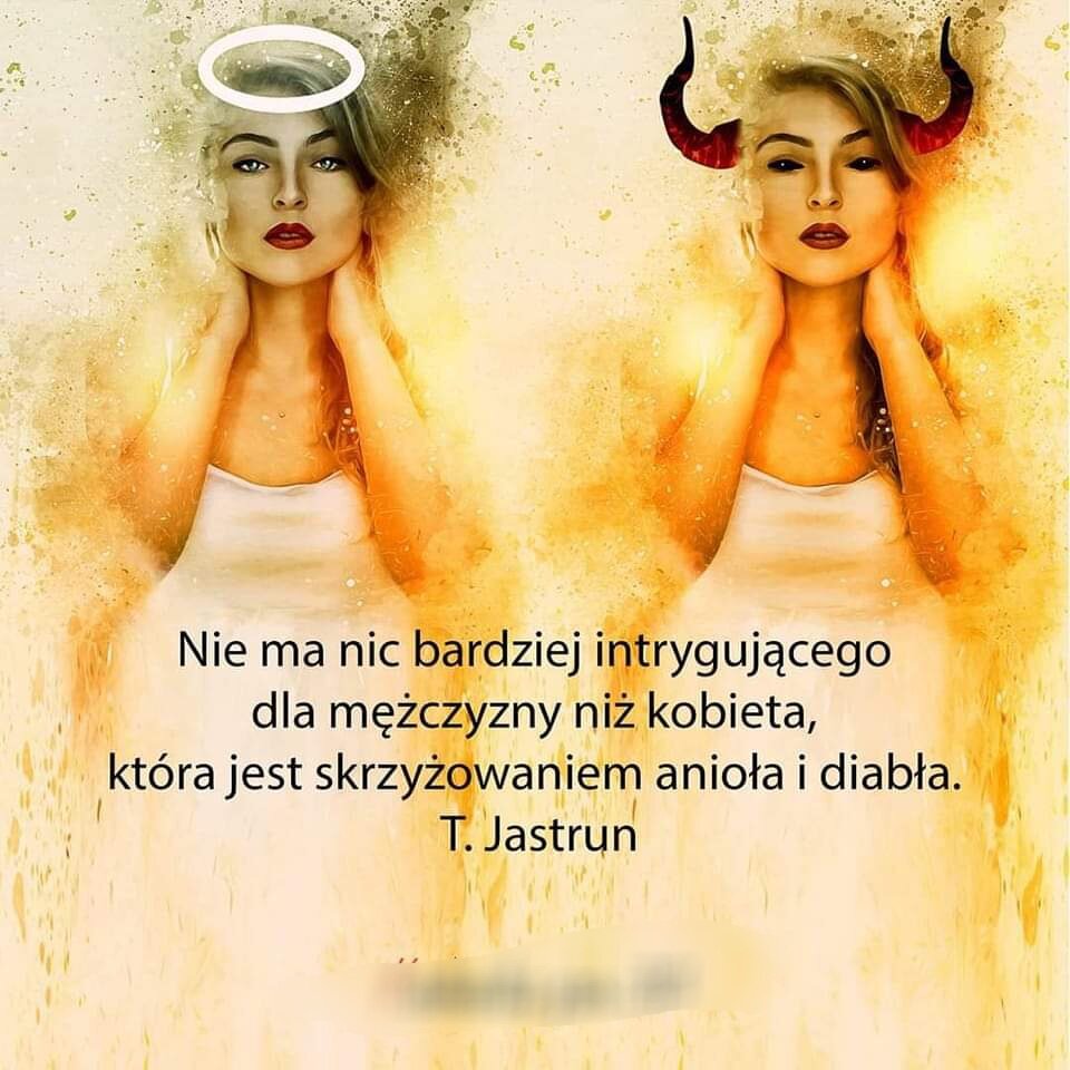 Skrzyżowanie kobiety - Sh_e