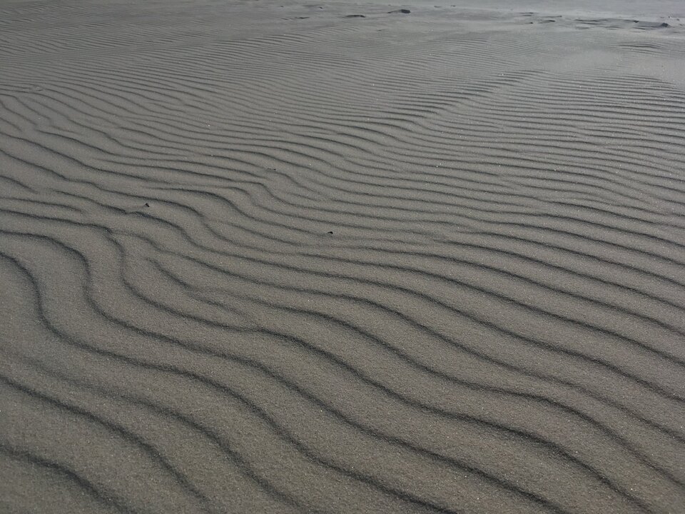 9FC2F120-A4A0-42C4-AE73-1928D29E5DDD.jpeg - Plazowicz3city