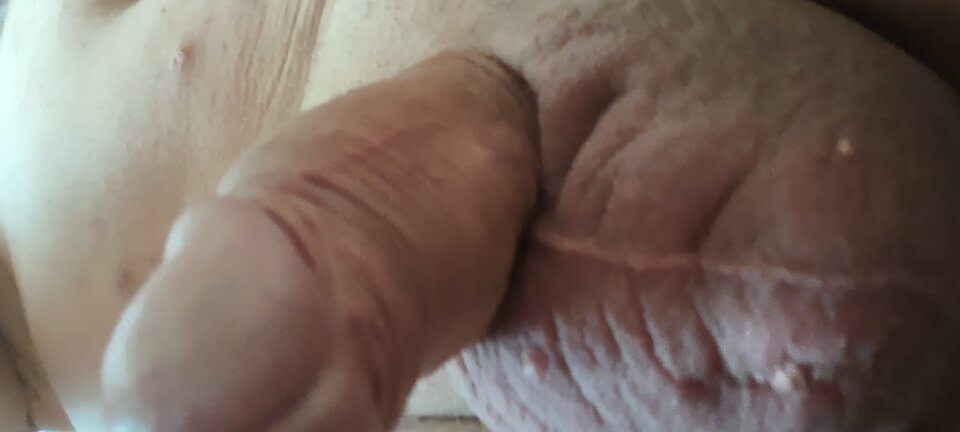 IMG_20220612_110242256.jpg - Bolo0803