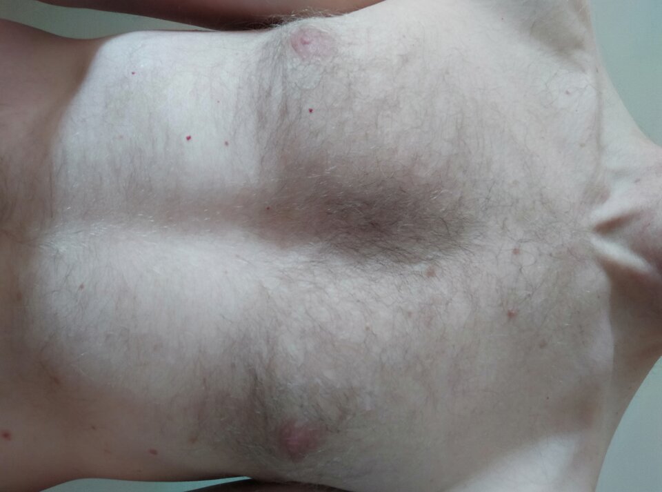 16550273309708040201677364099076.jpg - Kamekon