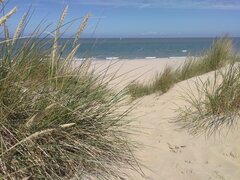 Nudist beach Bredene