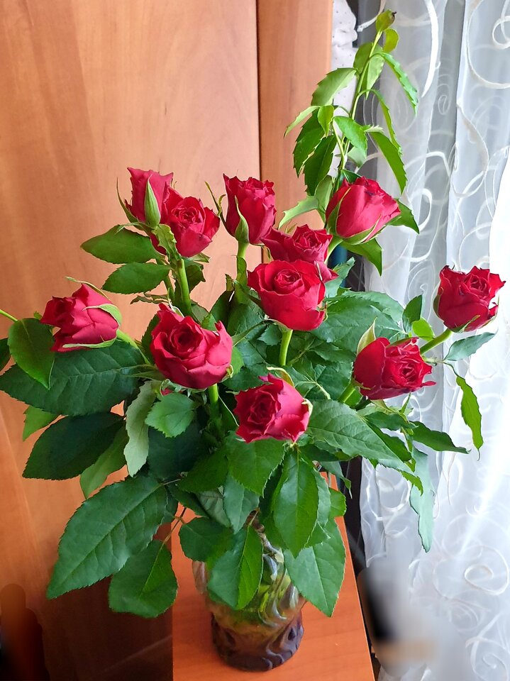 20220611_183312.jpg - Sh_e