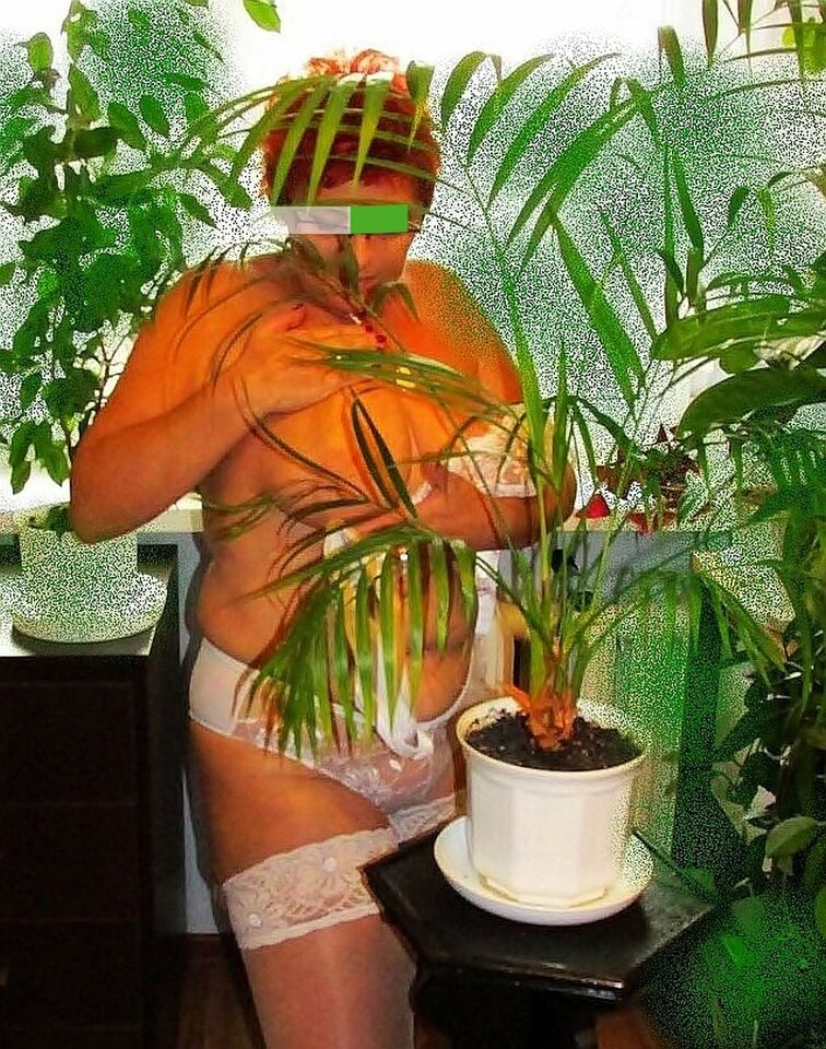 W palmiarni - oljan50