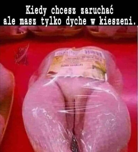 FB_IMG_1655050690268.jpg - ciekawa37