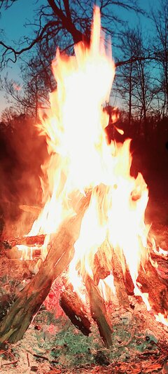 20220612_220202.jpg