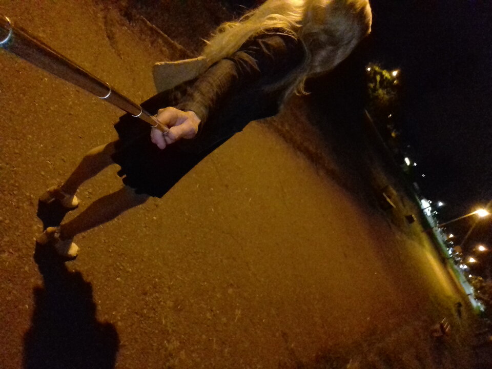 20220606_222643.jpg - MoniaTransCD