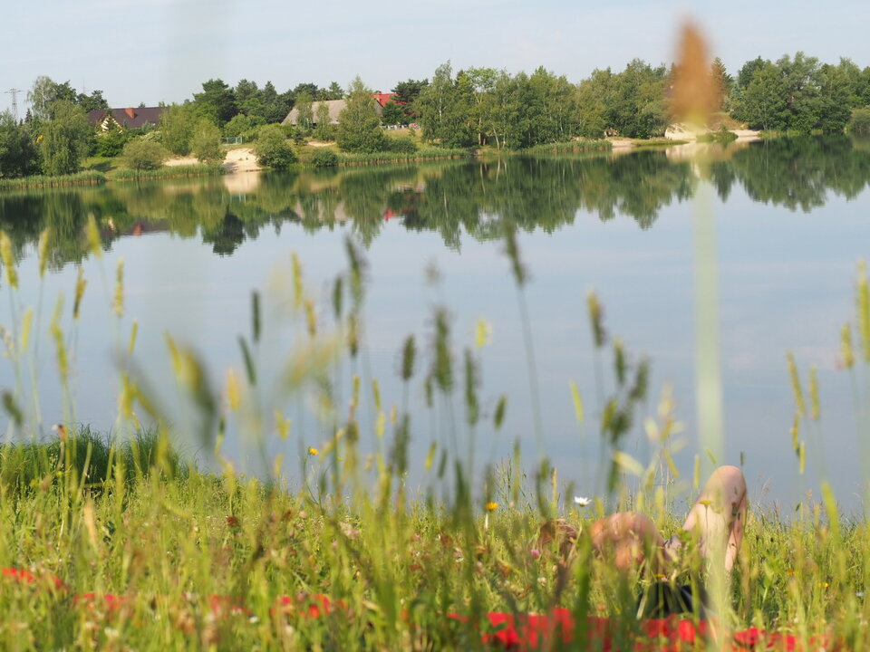 Baner.JPG - BrodatyLobuz