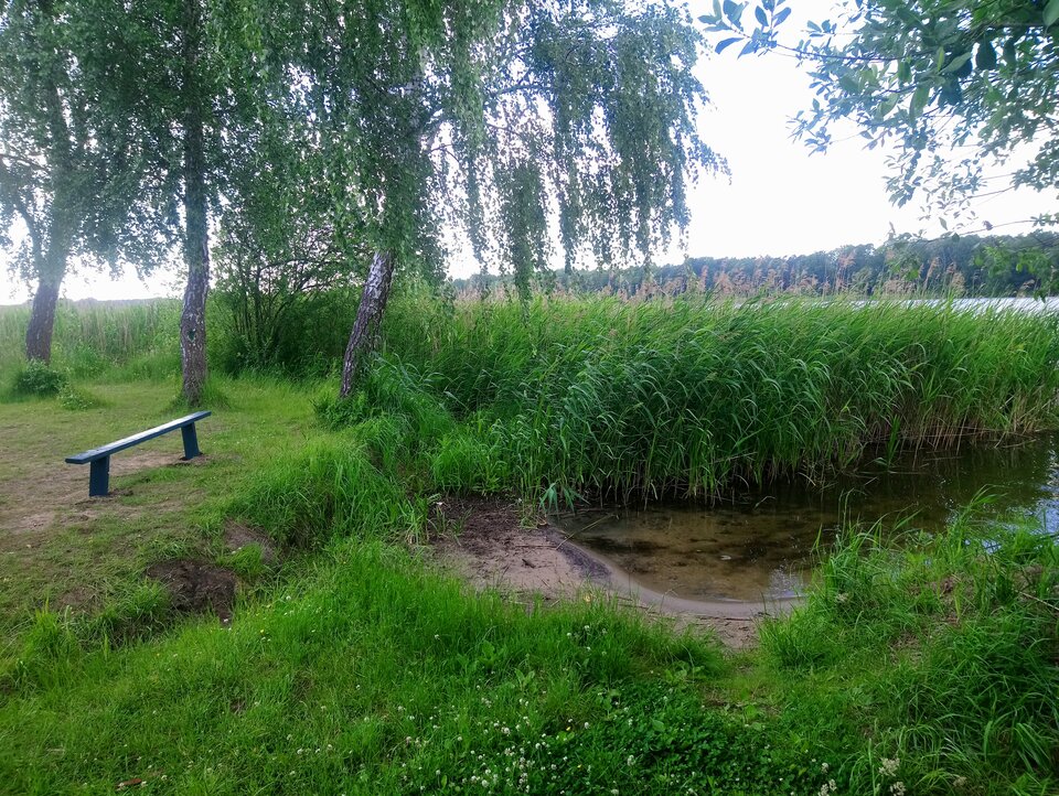 16551344067812752756496035504840.jpg - egreg75