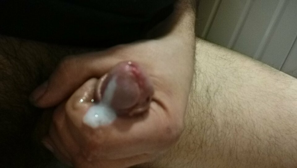 big_7777ac4b055f714ba5bc6ac105e401a5.jpg - Tygryseekp