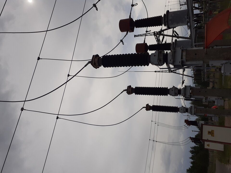 20220530_100021.jpg - Bzyczekelektryczek81