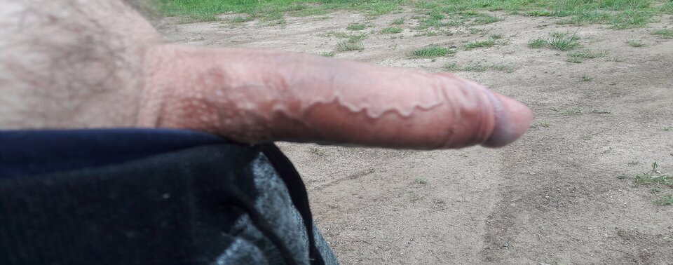 yted.jpg - mmojduzy102