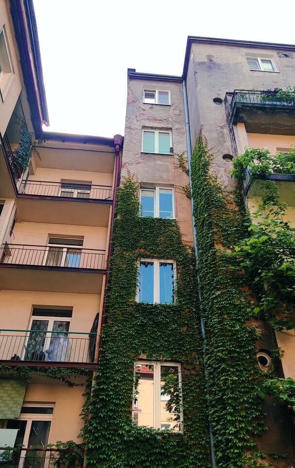 IMG_20220614_212100.jpg - MattVegass