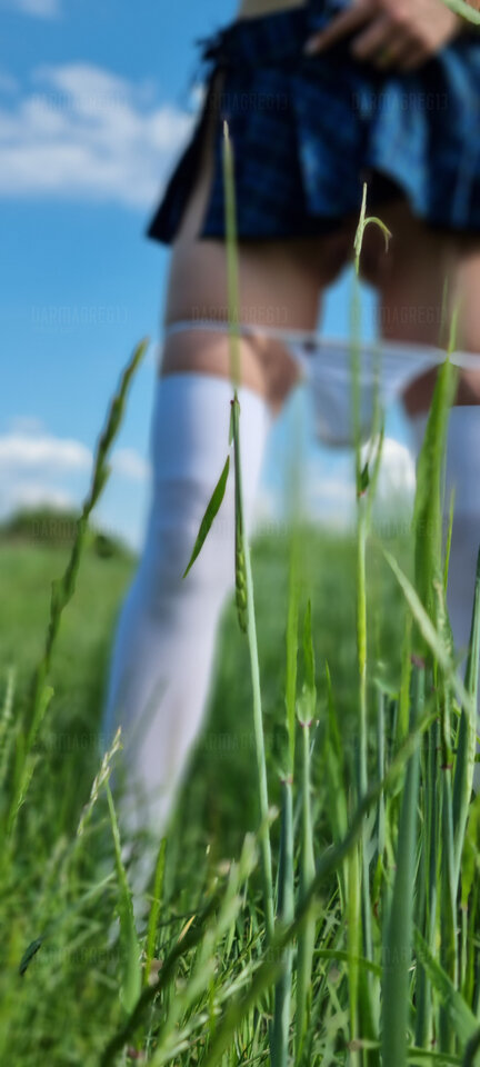 20220612_162826.jpg - DarmaGreg13