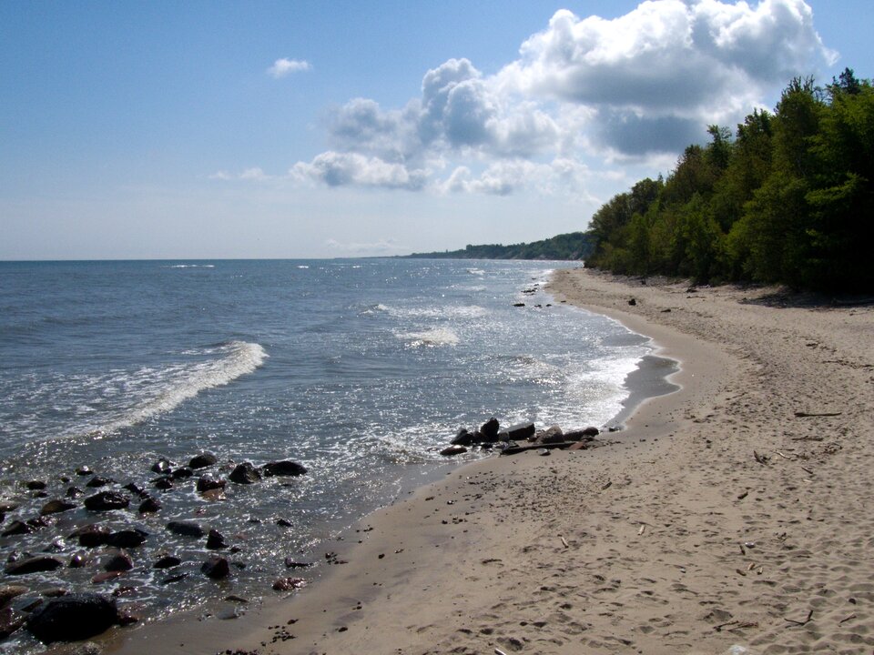 P5212161.jpg - Marcin1988xxx