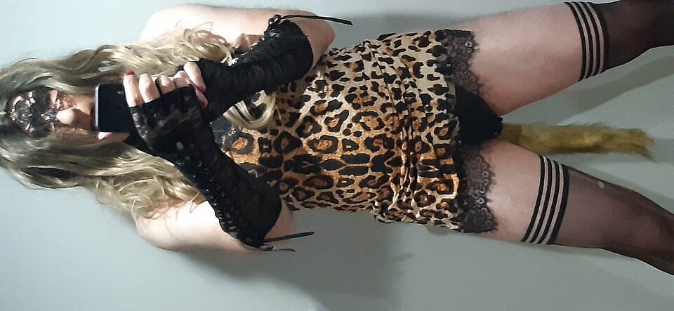 20220616_005541.jpg - PatiTrans80