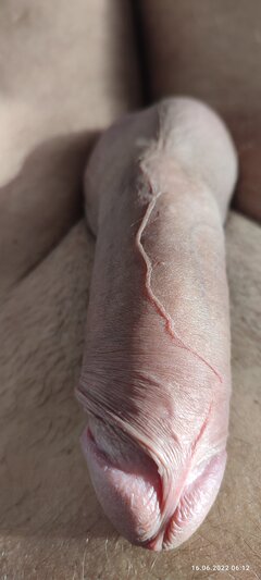IMG_20220616_061246.jpg