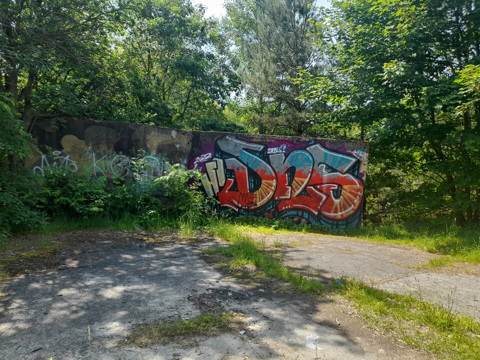 20220616_111330.jpg - Ambrozja2