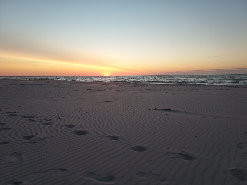 Zaszło słoneczko to wracamy - Reksiki