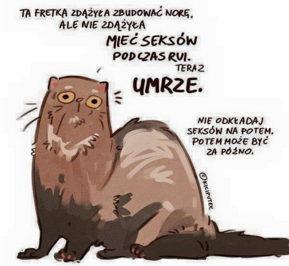 E697B021-1EB2-4258-BD25-38492470E211.jpeg - SwingersBeautyWawa