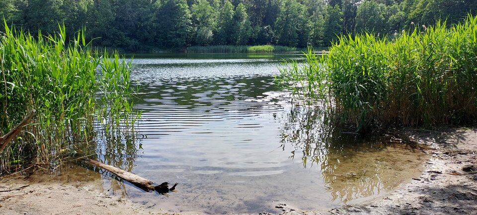 20220617_161615.jpg - tylko2kaloriee