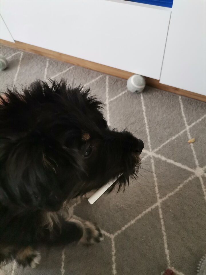 IMG_20220530_140441.jpg - Kohorn