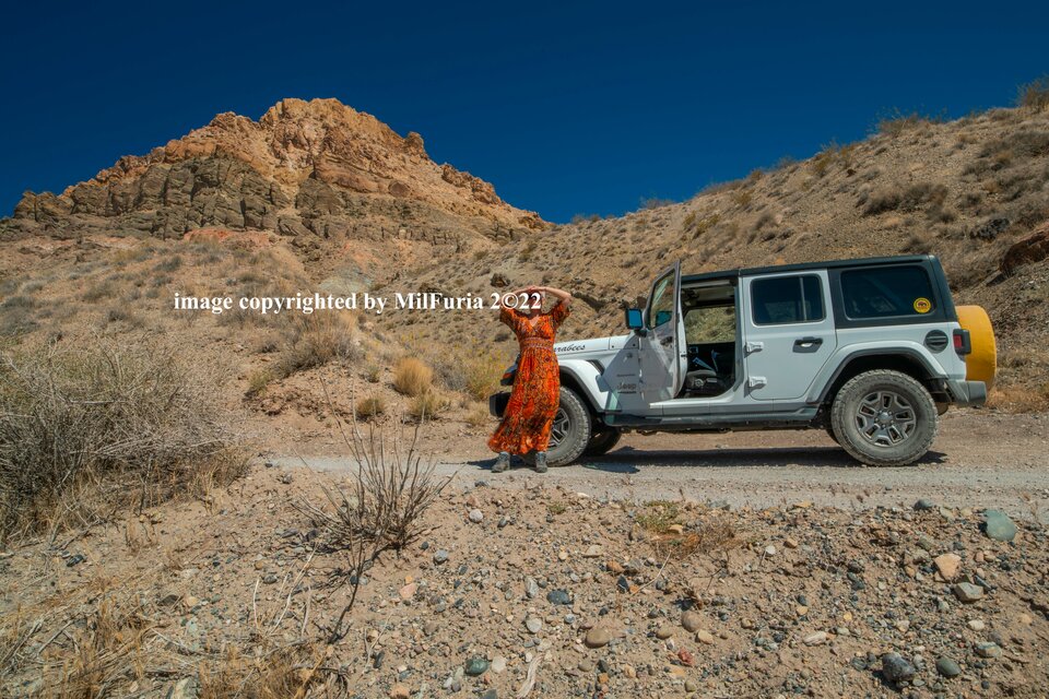 Bad bitch, I could be your fantasy ... - milFuria