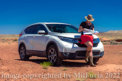 Dzisiaj jako Shania Twain