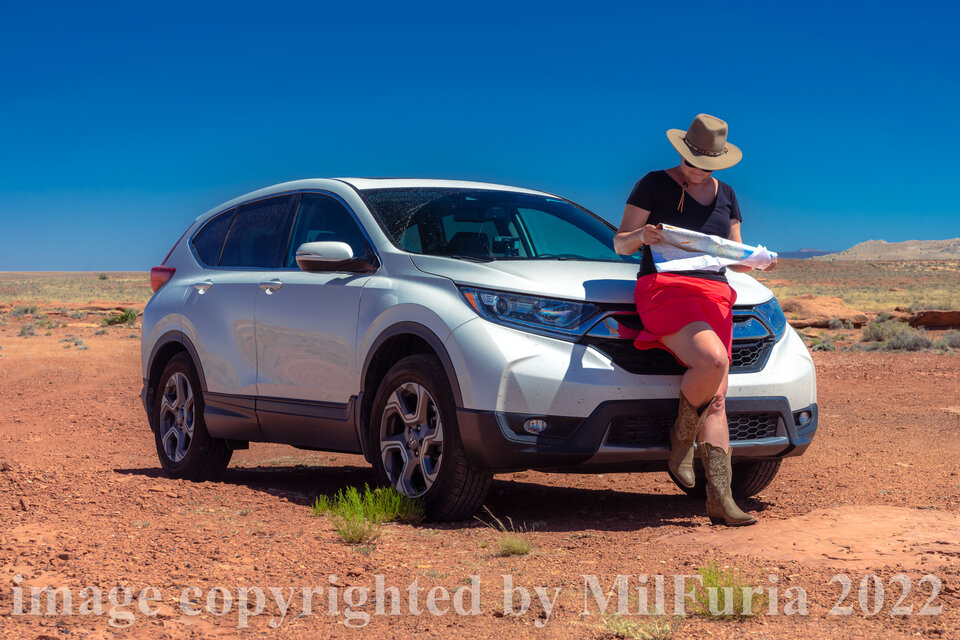 Dzisiaj jako Shania Twain - milFuria