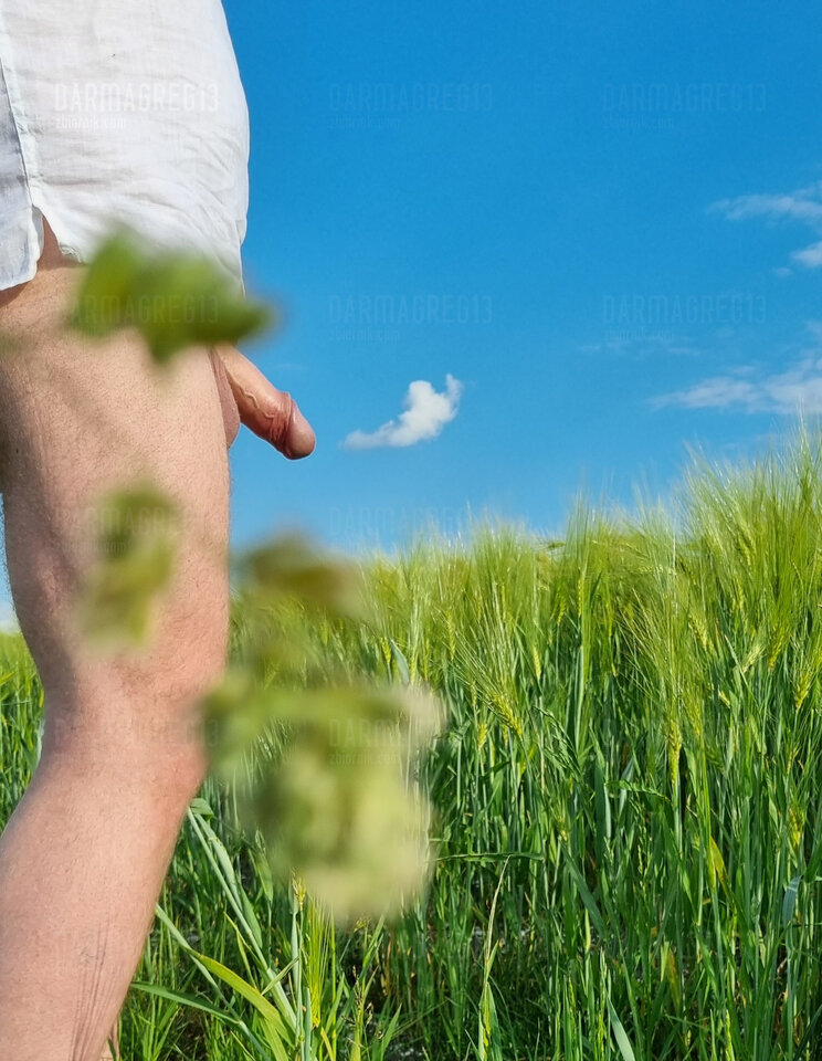 20220612_174337.jpg - DarmaGreg13