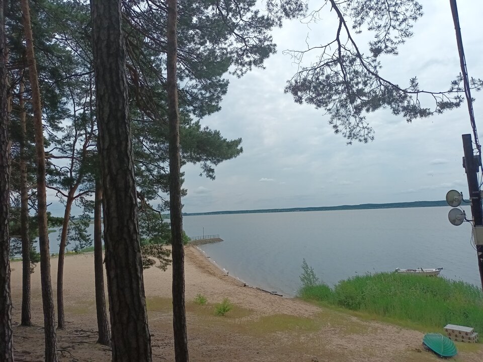 20220610_123844.jpg - WaszZiomek21