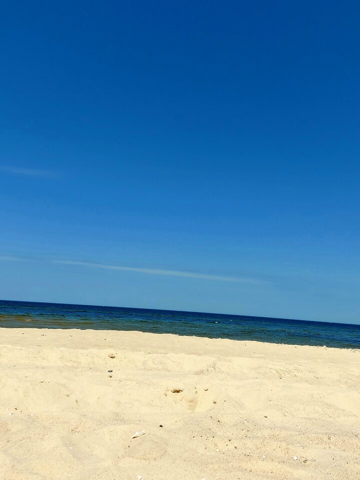 20220618_122844.jpg - gocha33