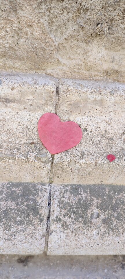 IMG_20220612 - wzwodnik1