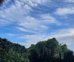 20220617_193755.jpg