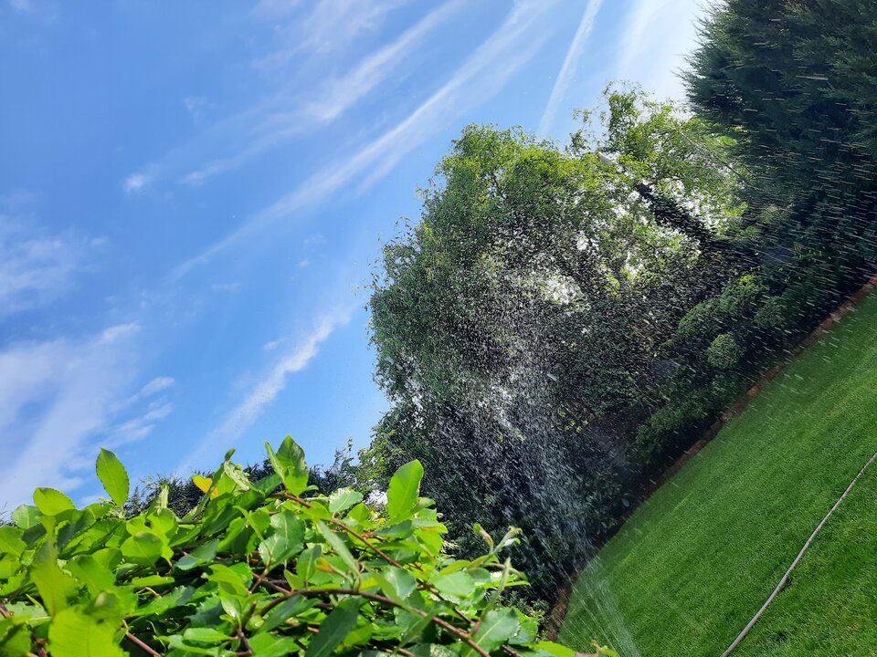 20220617_191349.jpg - gregor31
