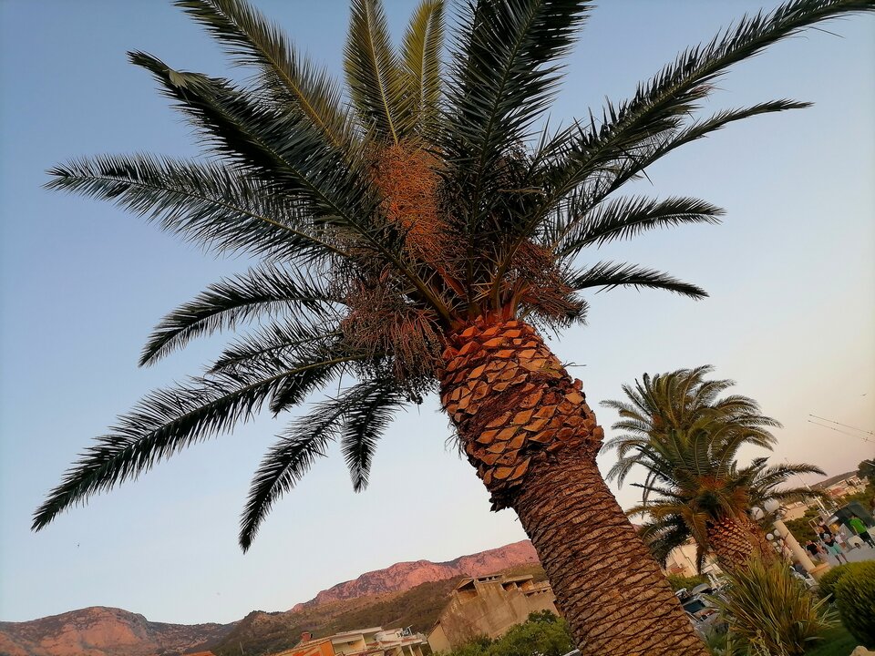 IMG_20220618_214246.jpg - A_tma