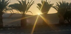 20220612_203259.jpg