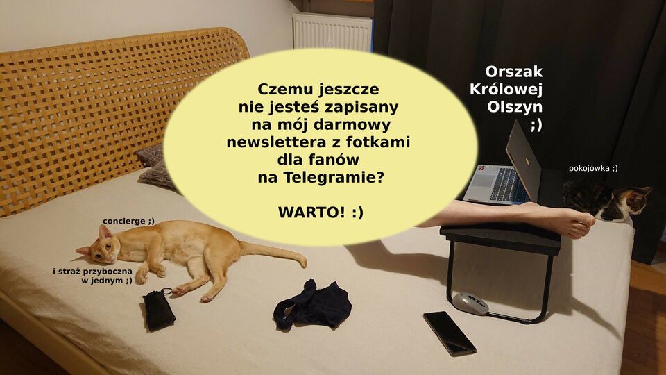 2022-06-19 DSC_0599 Królowa plama.JPG - KrolowaOlszyn