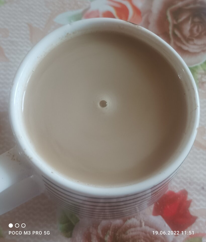 IMG_20220619_115254.jpg - Niunka150990