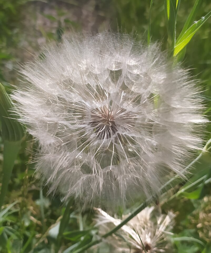 IMG_20220619_140711.jpg - retoiP