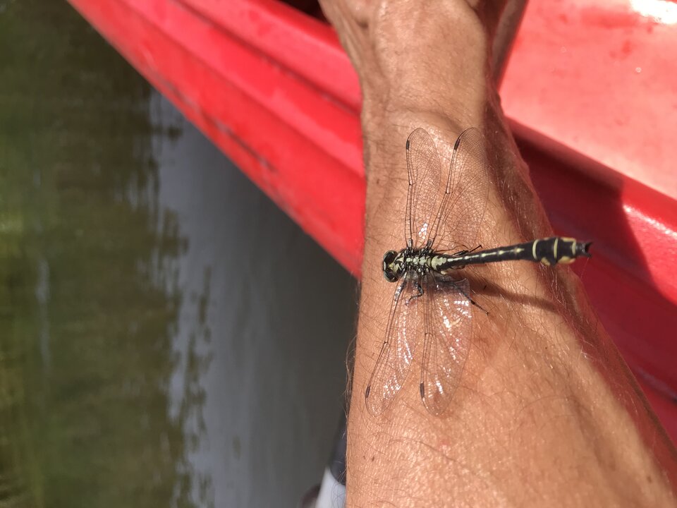 EEEE3A42-E767-4A4E-858F-46AA70952D0E.jpeg - Aniolmak