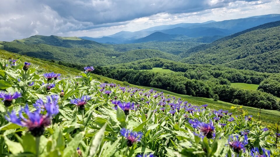 20220617_144704.jpg - Jocker79