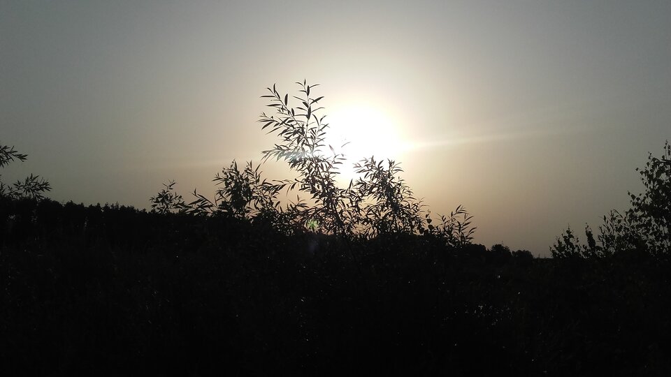 20220619_055833.jpg - Ina69