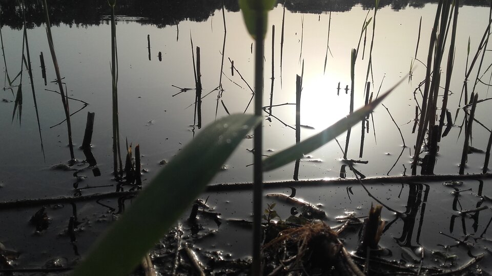 20220619_063310.jpg - Ina69