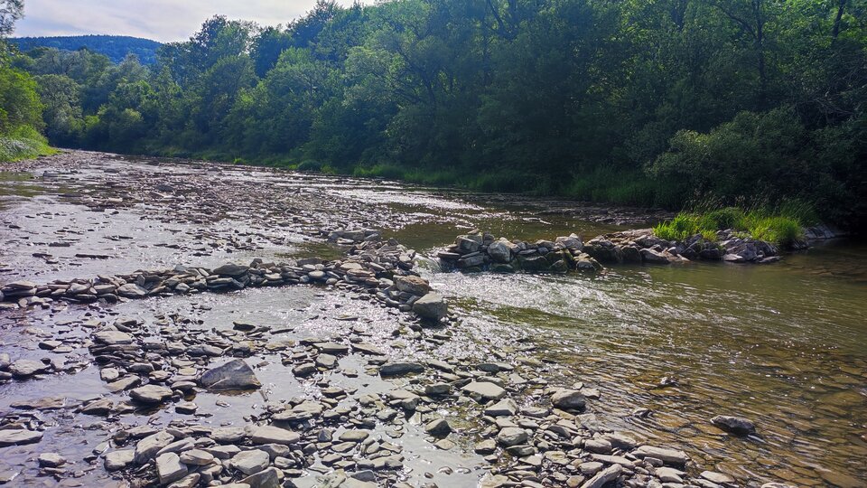 R R.jpg - BrodatyLobuz