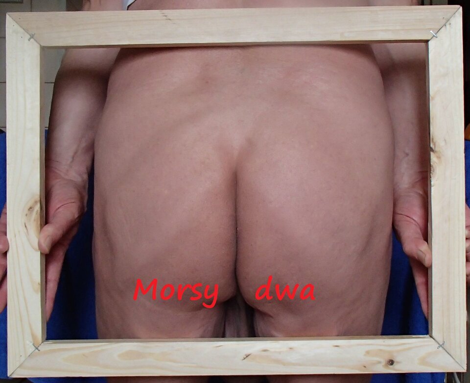 Zbiornik 1719 - Morsy_dwa