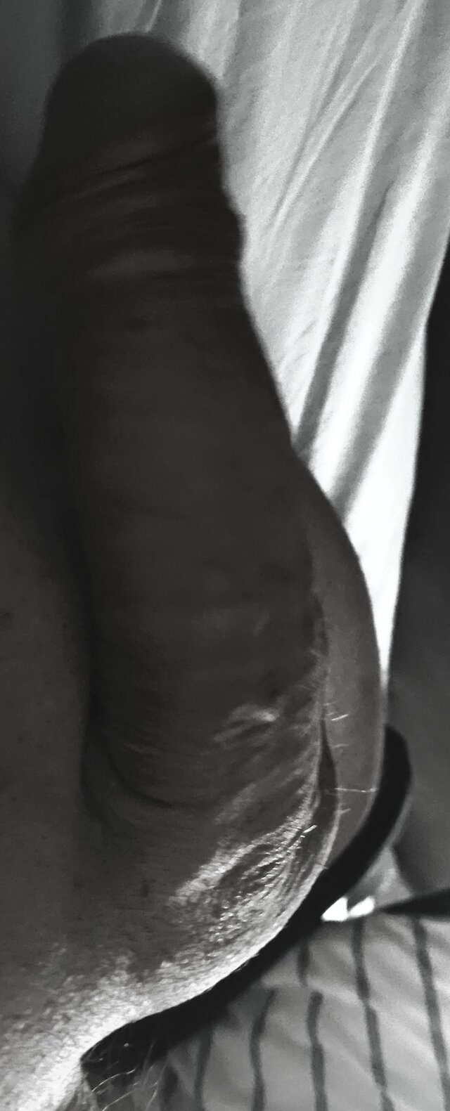 PervertedBoy