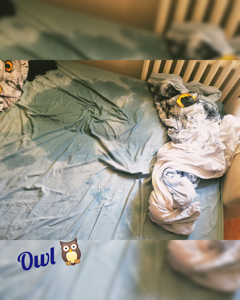 20220620_192008342.jpg - OwlsSoul